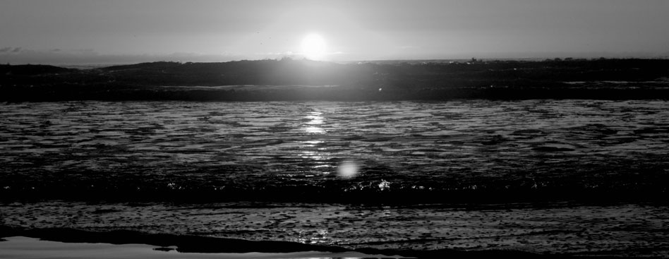 网站攻击软件工具